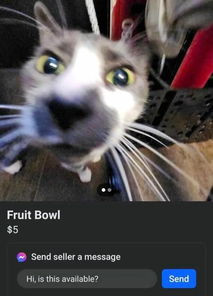 Fruit Bowl