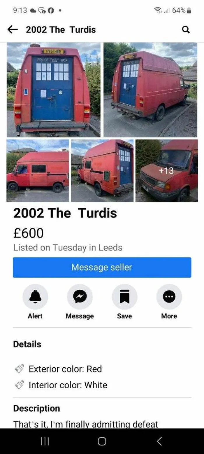 Who Doesn't Love A Turdis