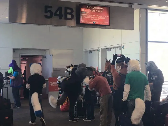 Al parecer voy a viajar en un vuelo lleno de furrys
