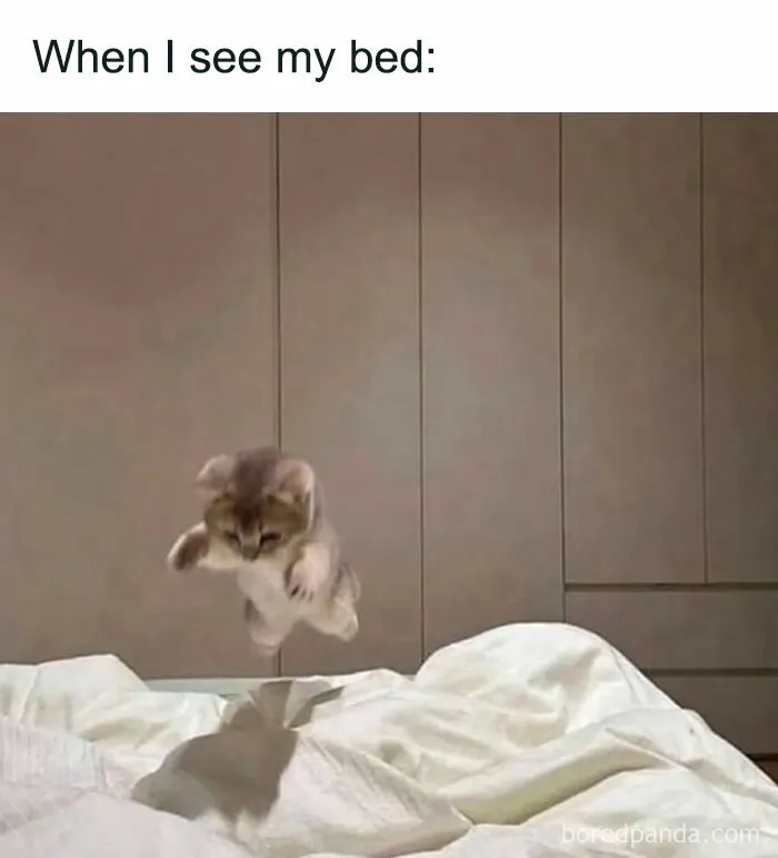 35 Random Memes To Take You Away From Reality For 2 Seconds