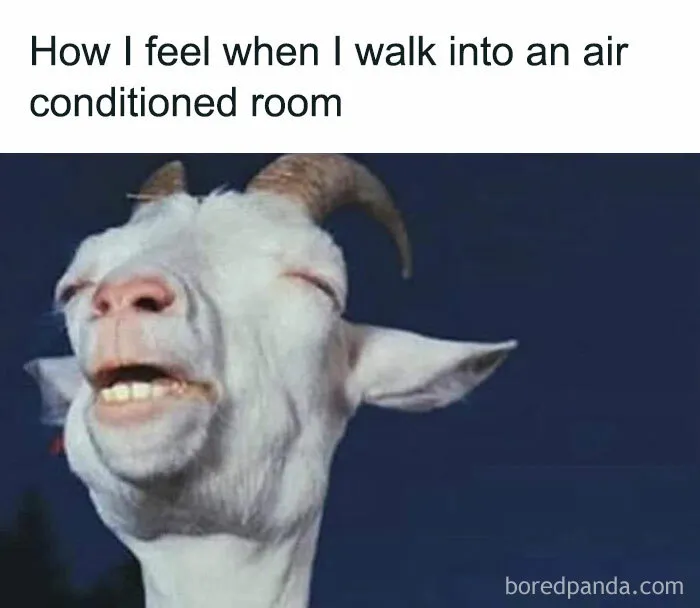 35 Random Memes To Take You Away From Reality For 2 Seconds