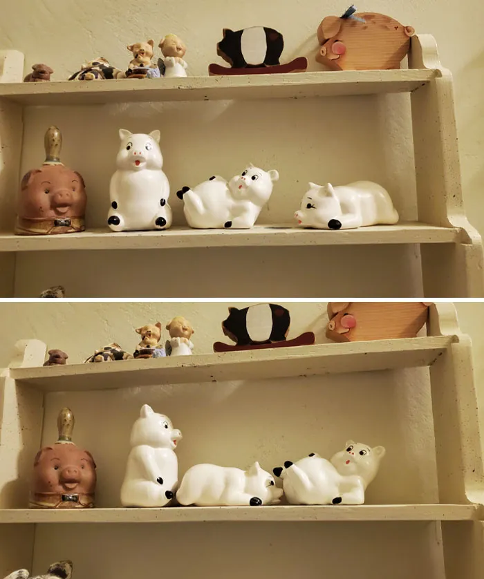 For The Last 17 Years I've Been Rearranging These Pigs At My Mom's House Into Naughty Poses And Every Time She Notices That I Moved Them, She Puts Them Back