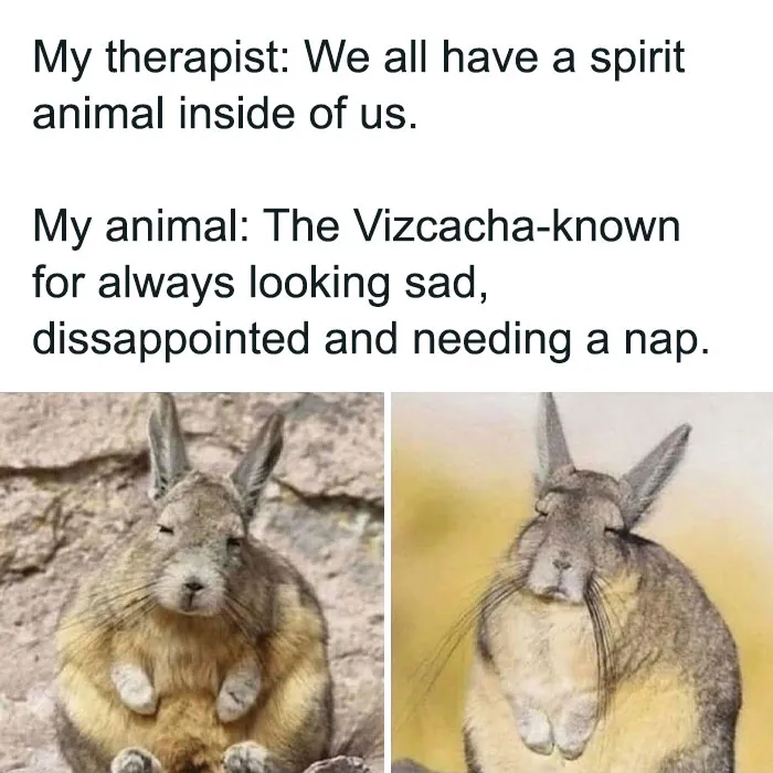  “We All Have a Spirit Animal Inside of Us”