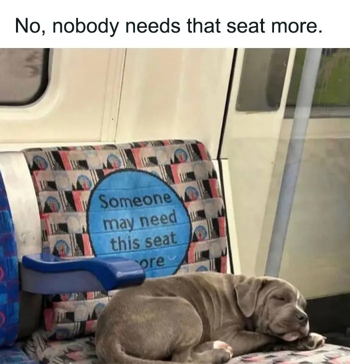 Nobodies Seat