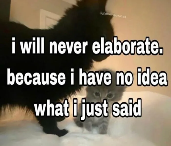 30 Cat Memes That Might Make You Say "That's Literally Me"