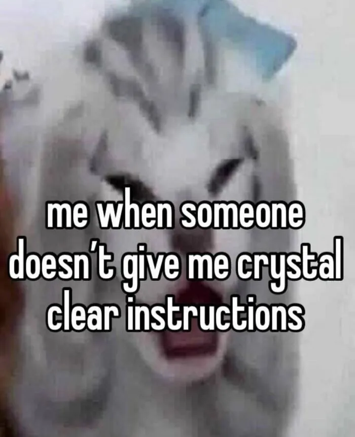 30 Cat Memes That Might Make You Say "That's Literally Me"