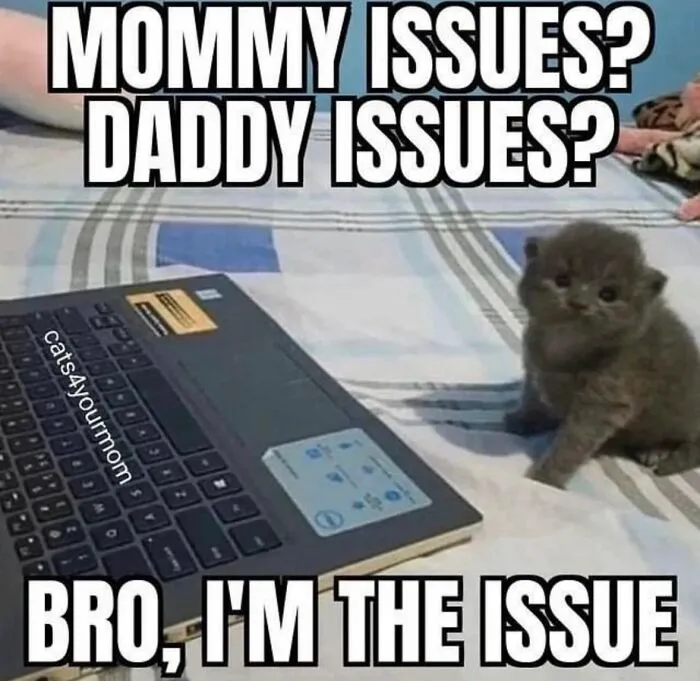 30 Cat Memes That Might Make You Say "That's Literally Me"