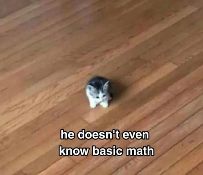 30 Cat Memes That Might Make You Say "That's Literally Me"