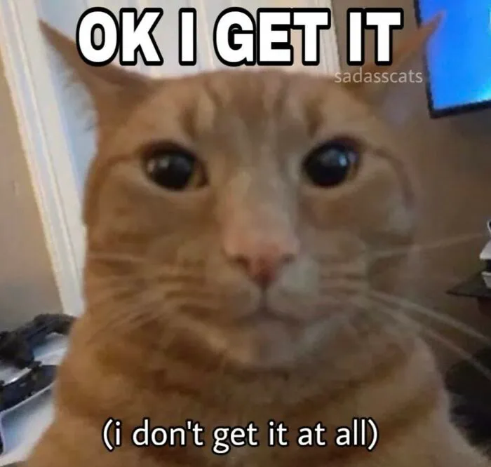30 Cat Memes That Might Make You Say "That's Literally Me"