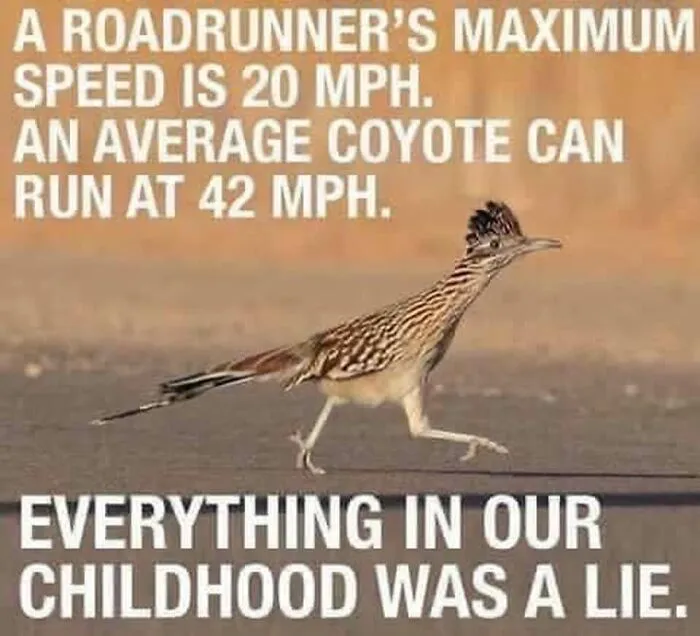 Roadrunner walking with text humorously debunking childhood myths in a popular Facebook group post.