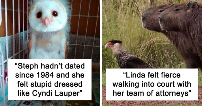 50 Pictures Of Birds That Are Probably Having A Worse Day Than You