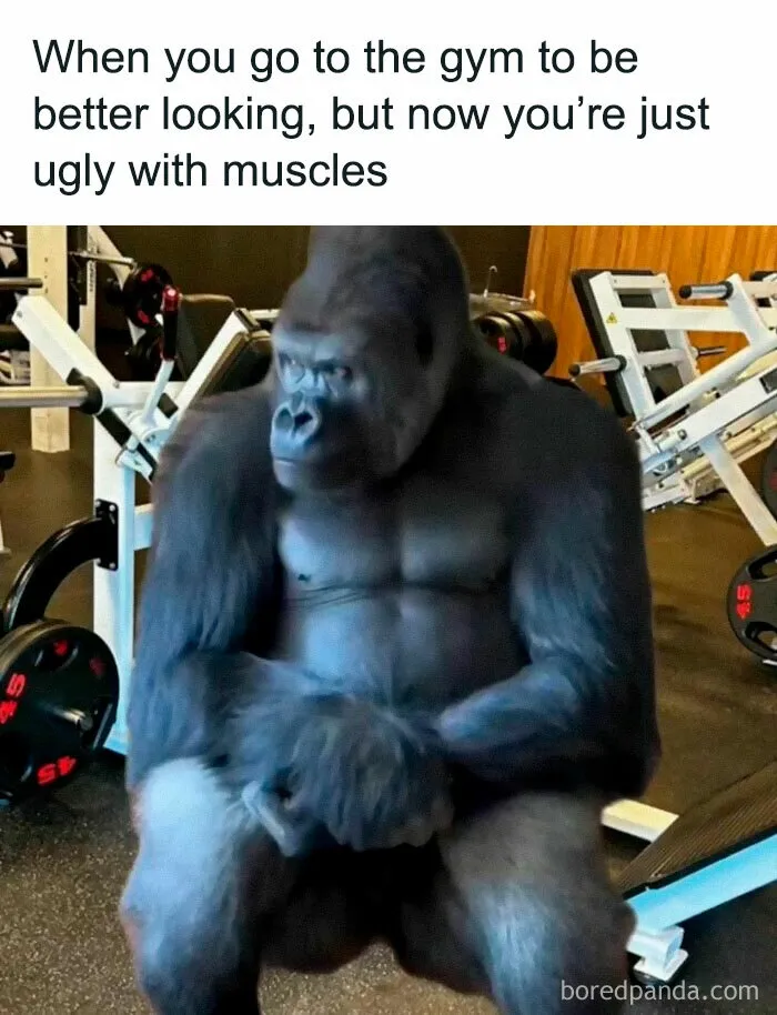 FB Page “Gym Fail Nation” Is Dedicated To Faithful Gym Goers And They Shared These 30 Funny Memes