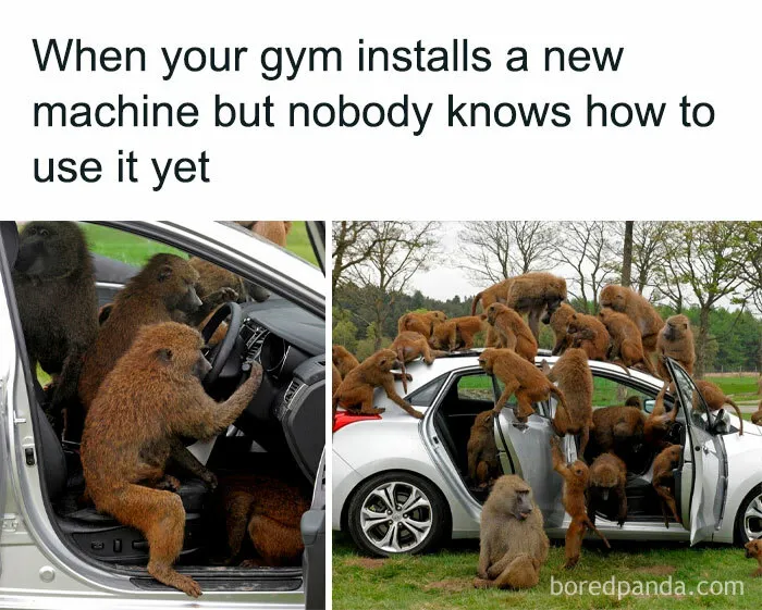 FB Page “Gym Fail Nation” Is Dedicated To Faithful Gym Goers And They Shared These 30 Funny Memes