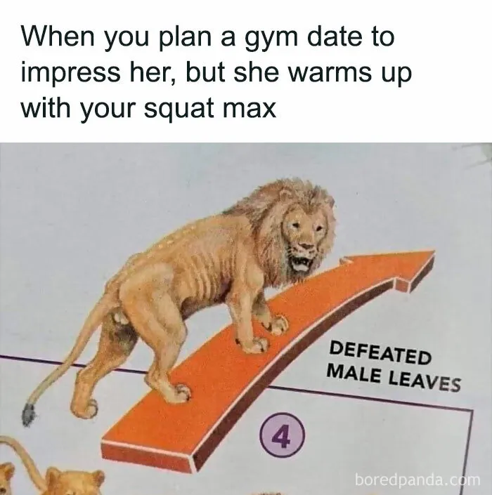 FB Page “Gym Fail Nation” Is Dedicated To Faithful Gym Goers And They Shared These 30 Funny Memes