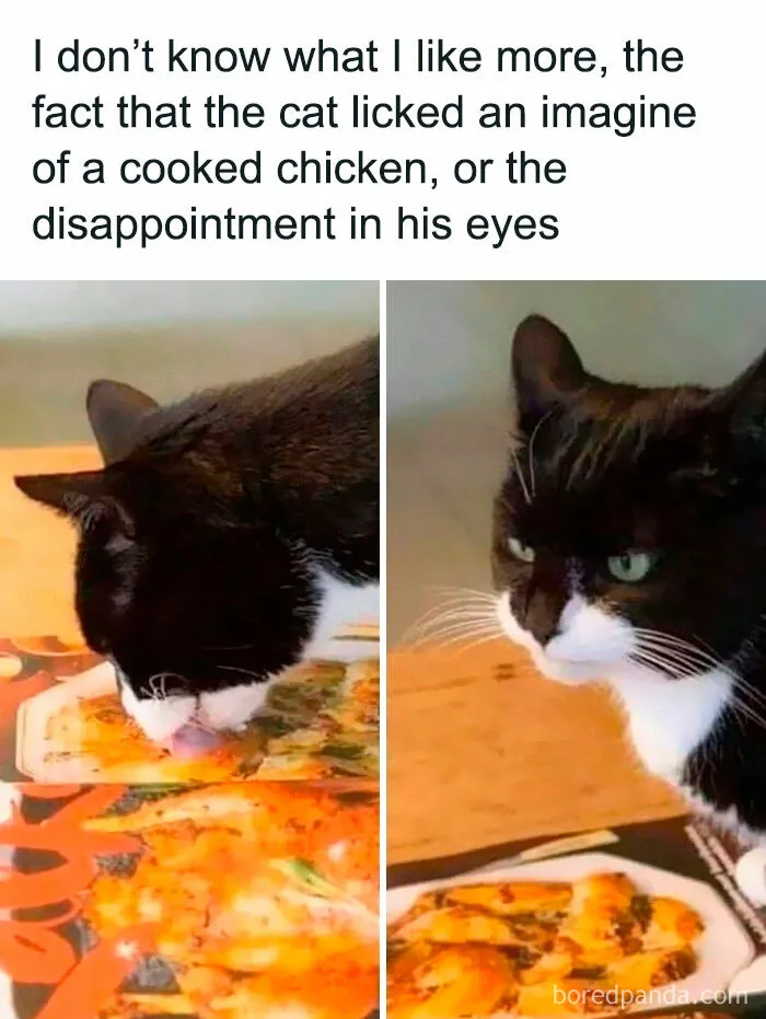 50 Funny Memes For Those Who Could Really Use Some Laughter Today (New Pics)