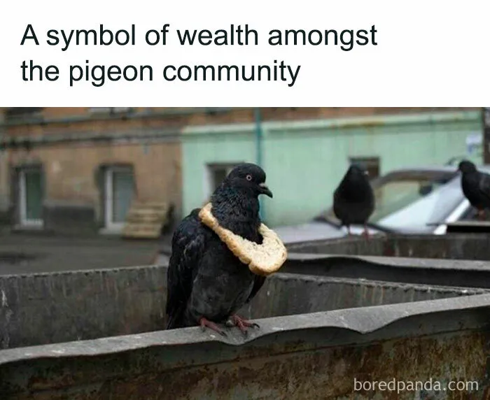 50 Funny Memes For Those Who Could Really Use Some Laughter Today (New Pics)
