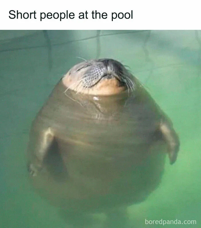 50 Funny Memes For Those Who Could Really Use Some Laughter Today (New Pics)