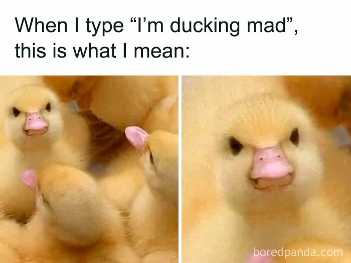50 Funny Memes For Those Who Could Really Use Some Laughter Today (New Pics)