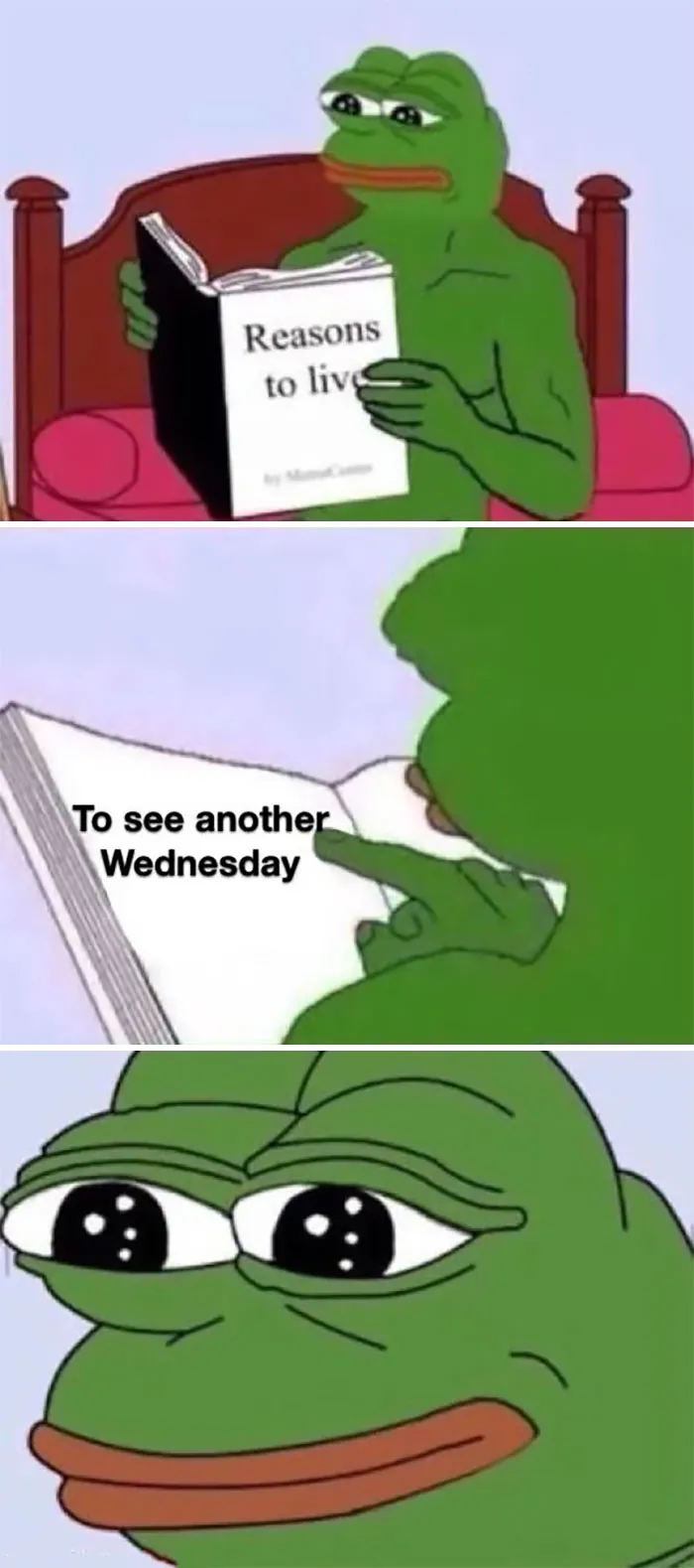 Reasons to Live