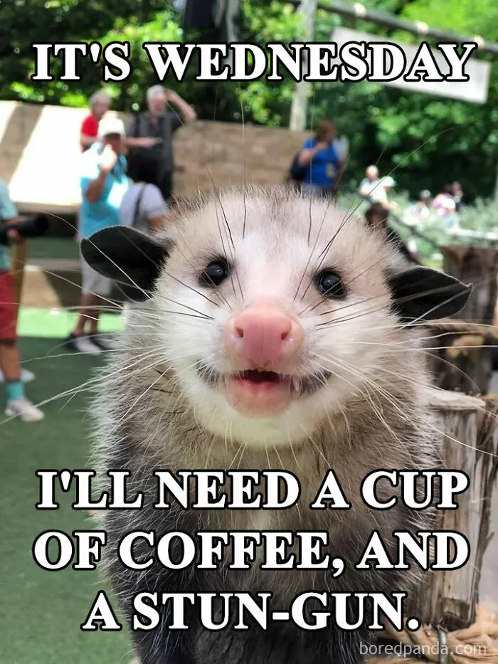 When You Can No Longer “Wednesday”