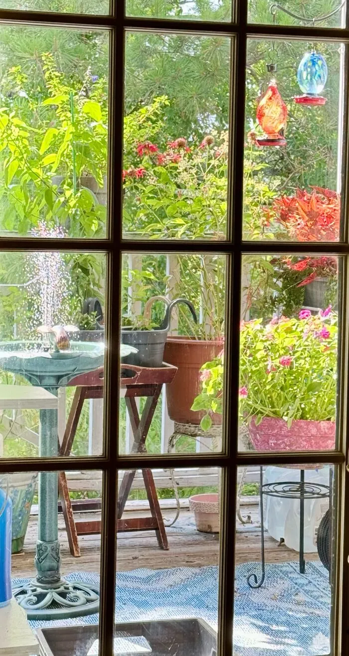 Our Patio Backyard!