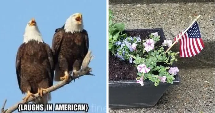 Forget Basic BBQs: 21 Essentials To Take Your 4th Of July Party To The Next Level