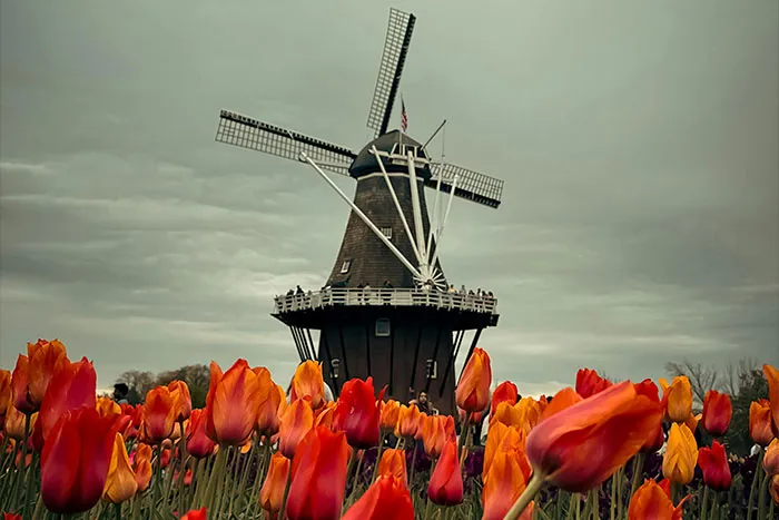 30 Interesting Facts From History That You May Not Find In Textbooks