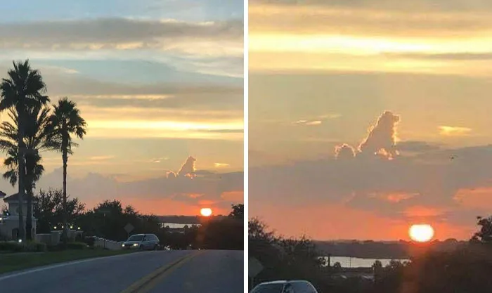 All Dogs Go To Heaven