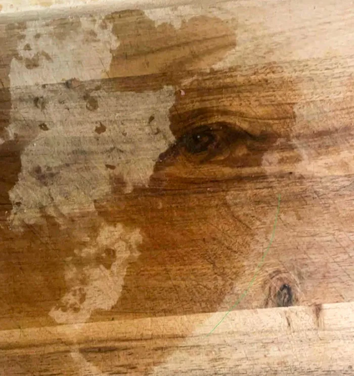 Eye In A Wood