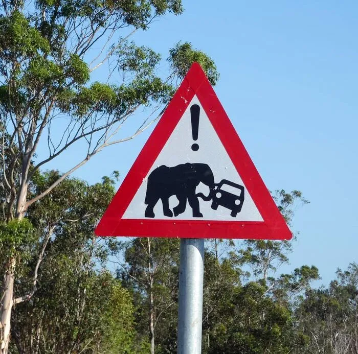 Visto en Mozambique