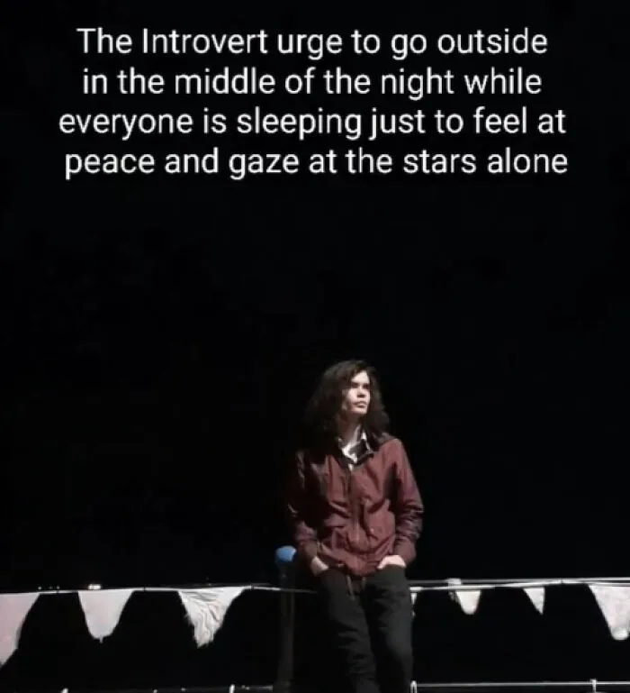 35 Funny Memes Made By An Introvert For Introverts