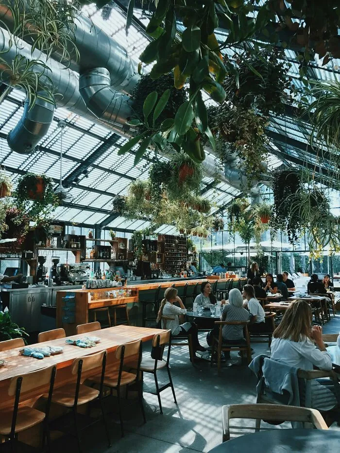30 Signs That Scream Someone Grew Up Rich, As Pointed Out By Folks Online
