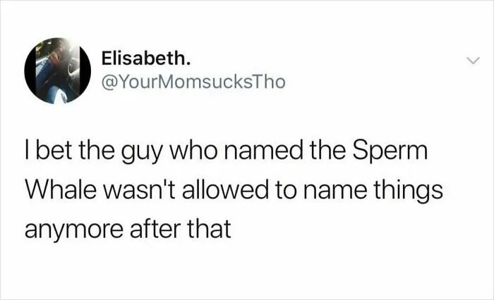 50 Funny Memes For Those Who Could Really Use Some Mind-Numbing Humor Today