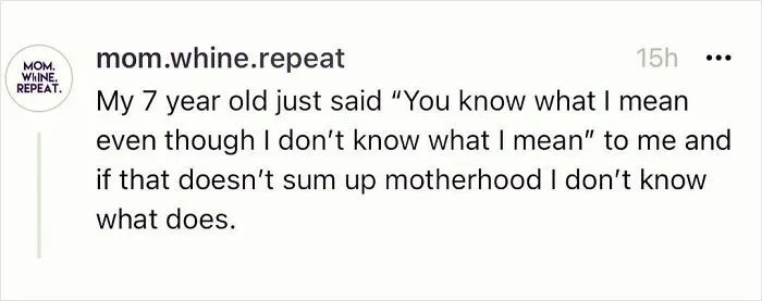 Your Laughter Might Wake Up Your Kids After Looking Through These 30 Mom Memes