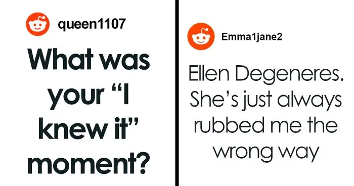 30 Perfect Examples Of "I Knew It" Moments