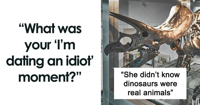 “Couldn’t Possibly Be Bears”: 45 People Who Discovered That They Were Dating Idiots