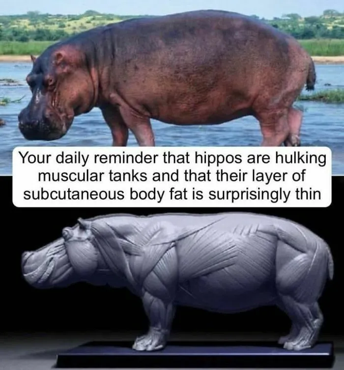 FB Page “Gym Fail Nation” Is Dedicated To Faithful Gym Goers And They Shared These 30 Funny Memes
