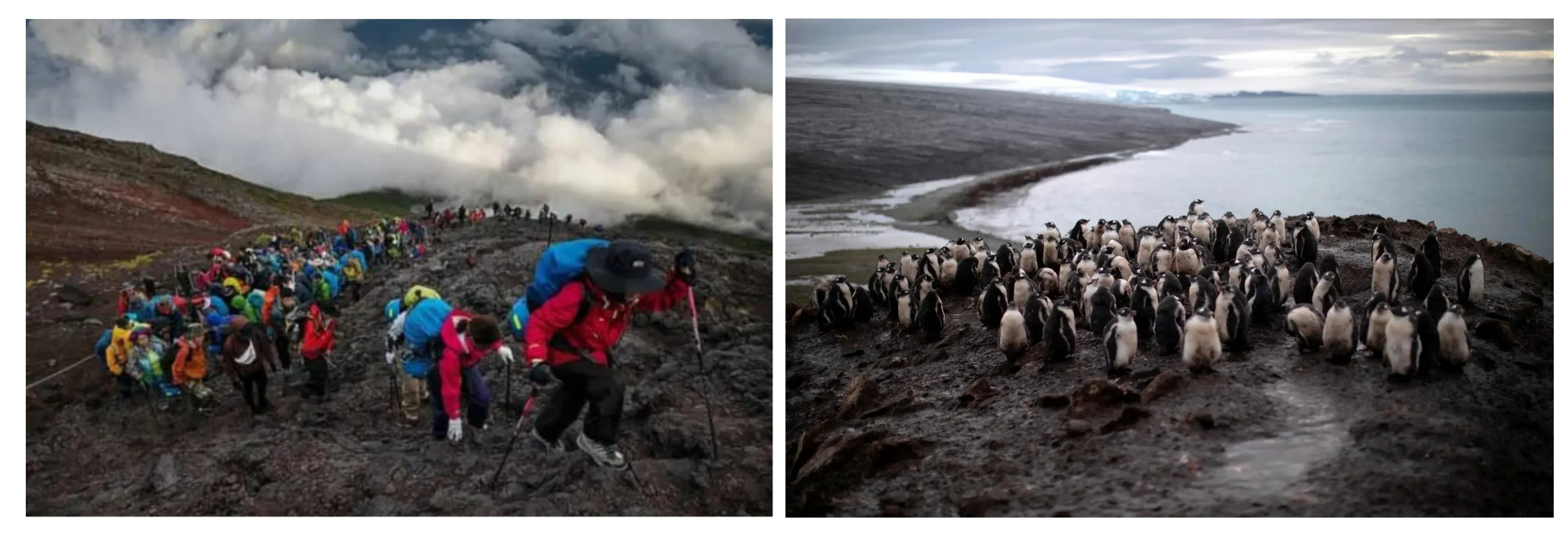 Mount Fuji Tourism Is Like...