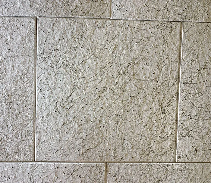 Who Wouldn’t Want A Ceiling That Looks Like It’s Covered With Hair?