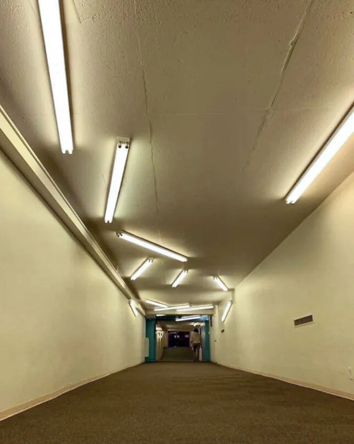 The Lights In This Hallway
