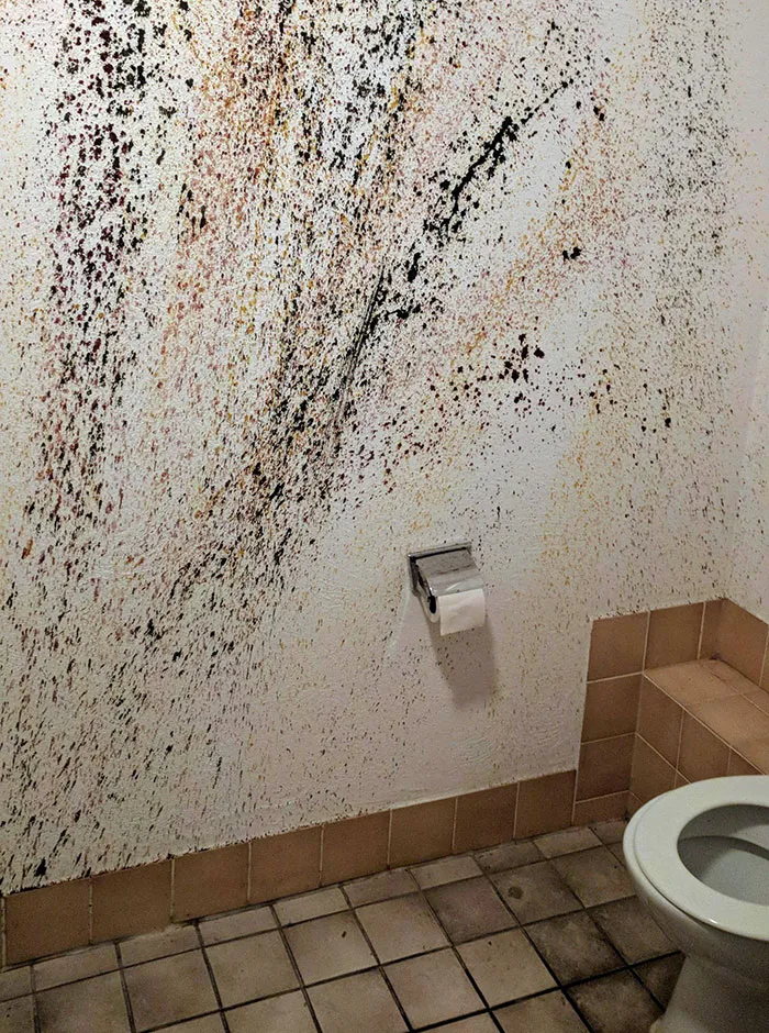 The Wall Art In This Bathroom Is... Suboptimal