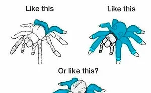 50 Random Memes That Have No Business Being So Funny