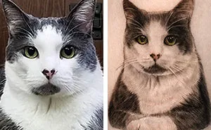 31 Tattoos That Owners Will Cherish Forever As They Feature Realistic Portraits Of Their Pets