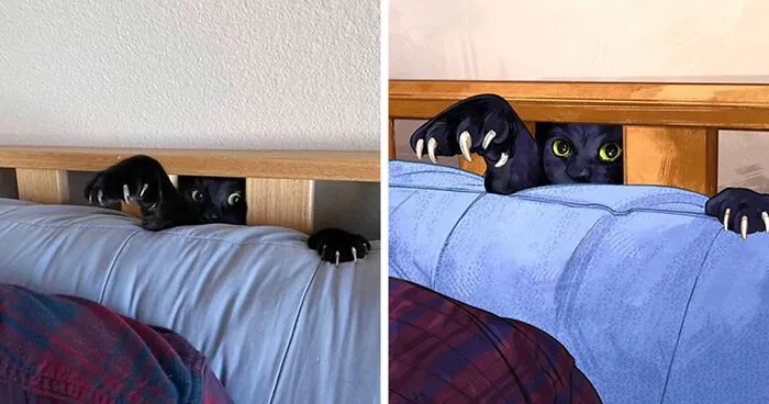 Funny Cat Pics Get Even Funnier When Illustrated By This Artist (33 New Pics)