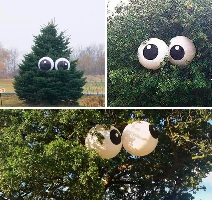 Step 1 Get Giant Beach Balls  Step 2 Paint Eyes On Them Step 3 Place In Tree Facing Neighbors House