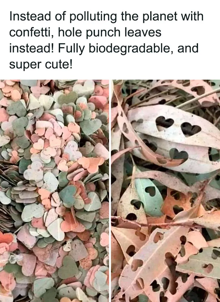 Great Idea. I Will Start Collecting Pretty Leaves This Fall