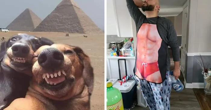 Your Daily Dose of Laughter Is Proudly Brought To You By These 31 Funny Items