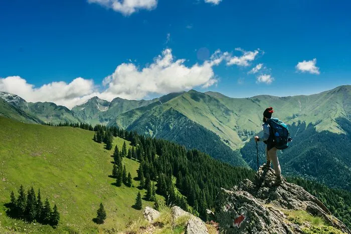 30 Signs That Scream Someone Grew Up Rich, As Pointed Out By Folks Online