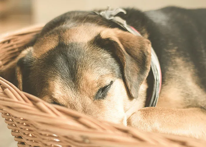 30 Wild Funeral Stories About Inappropriate, Weird Or Funny Things Happening