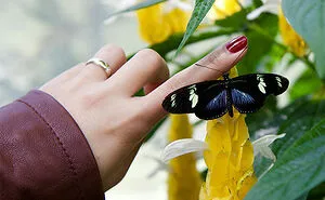 30 Wild Funeral Stories About Inappropriate, Weird Or Funny Things Happening